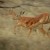 sabi sabi reserve, South Africa