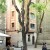 Barcelona, Spain