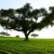 Alentejo, Portugal